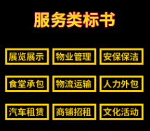 服务类标书